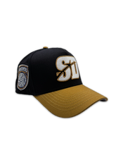 Load image into Gallery viewer, FUERZA (BLACK/BROWN)